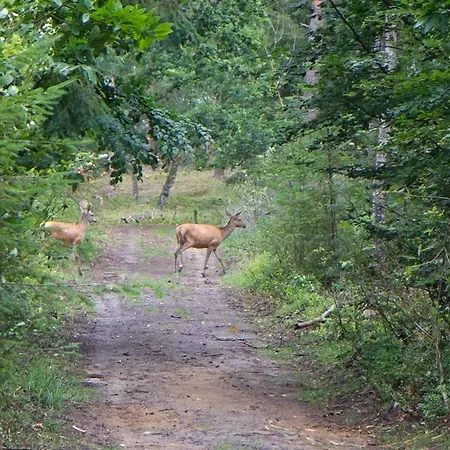 شاليه Het Jachthuus - Vakantiewoning Oscar Hoeve إيدي